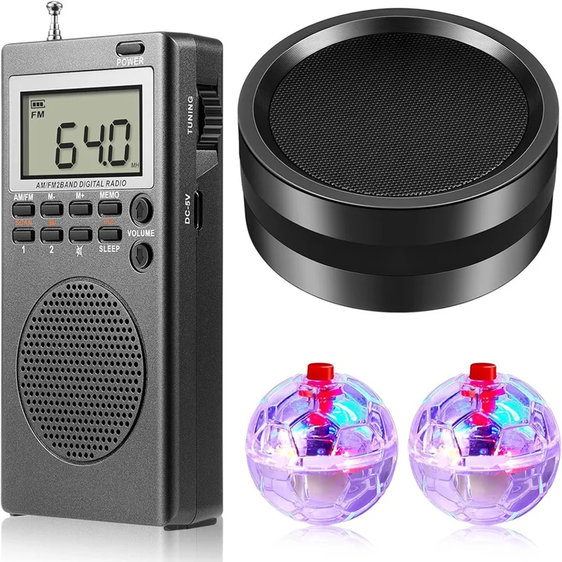 Spirit Box + Haut Parleur/Enceinte